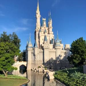 Meet your Posher, Tracey